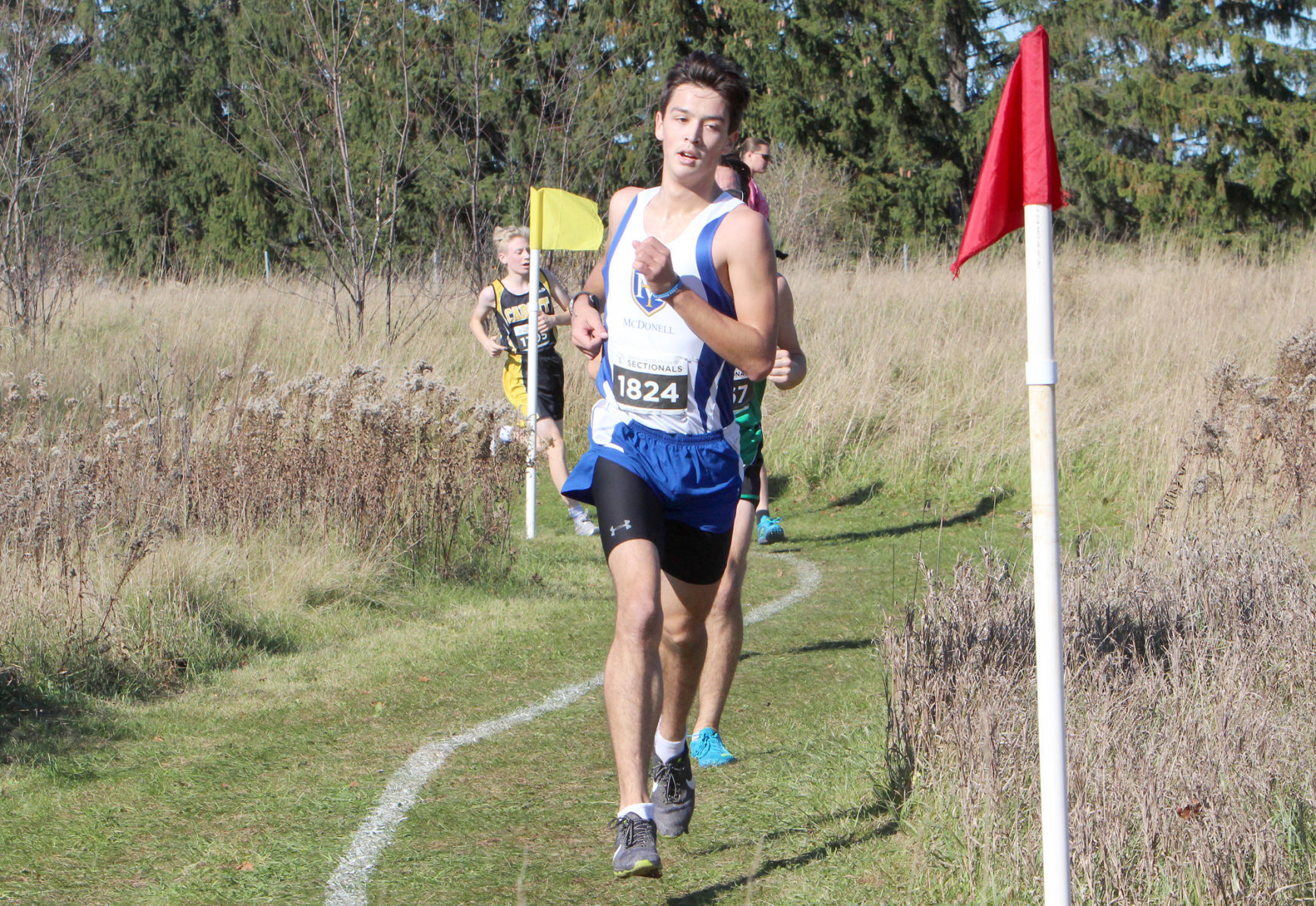 Division 3 Cross Country Sectionals in Boyceville 10-26-19